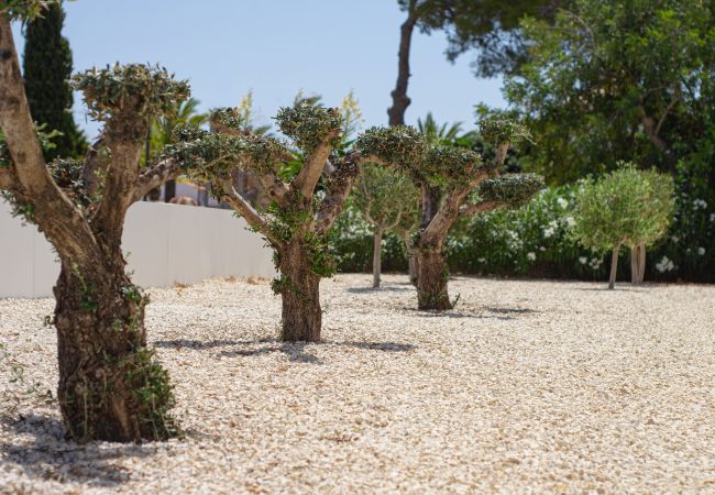 Villa in Benissa - Graham Holiday Rentals - Harmony Villa in Benissa - Graham Holiday Rentals - Harmony